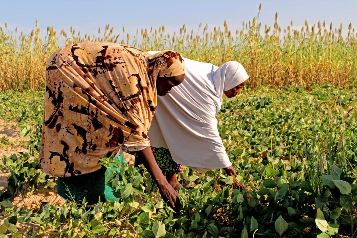 Nigerian countryside
